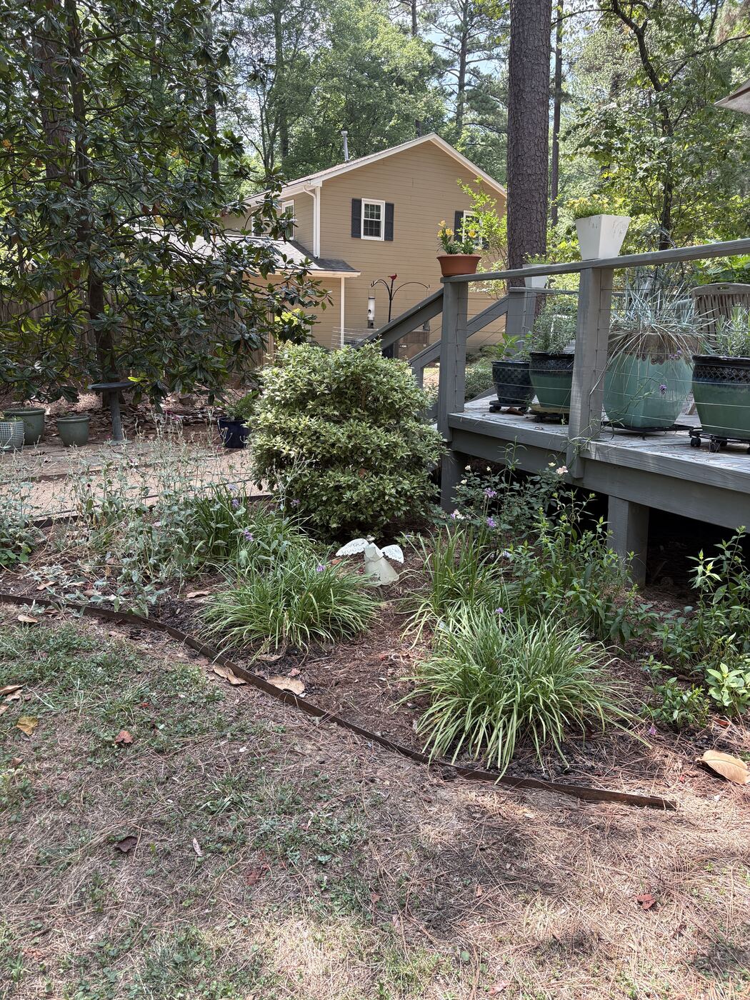 Backyard deck with container plantings and a mulched perennial bed