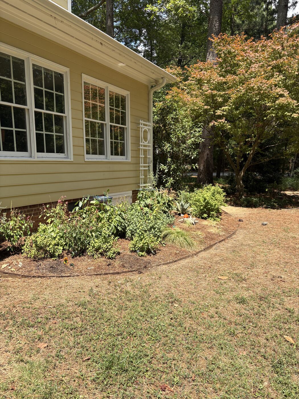 Foundation planting bed along a house with mixed perennials and mulch