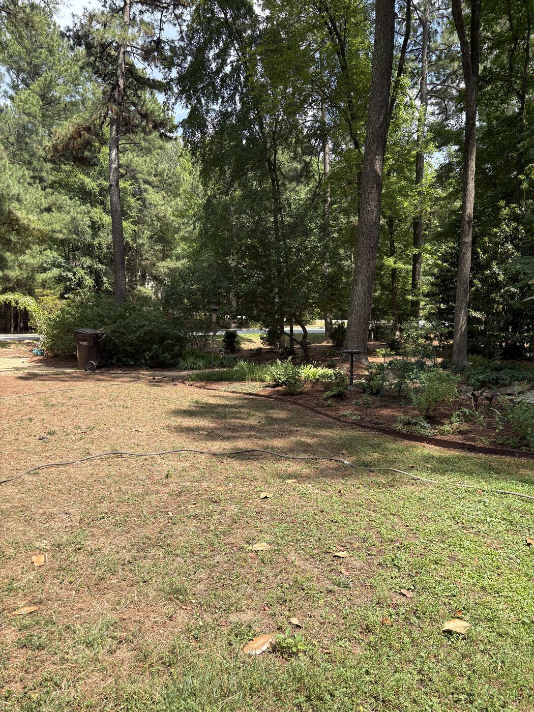 Wooded backyard with clean mulch bed lines and irrigation